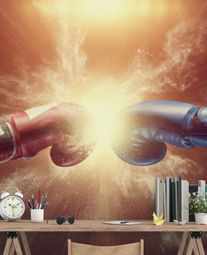 mural rojo y azul de boxeo llamado Respect for gyms and teen bedrooms 