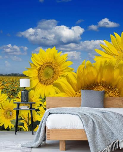 Gul Sunfowers Bakgrunn