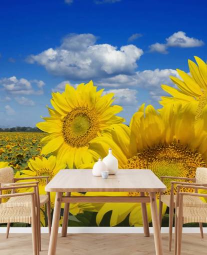 Fondo de pantalla de girasoles amarillos