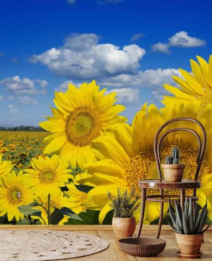 Gelbe Sonnenblumen-Tapete Gelbe Sonnenblumen-Tapete