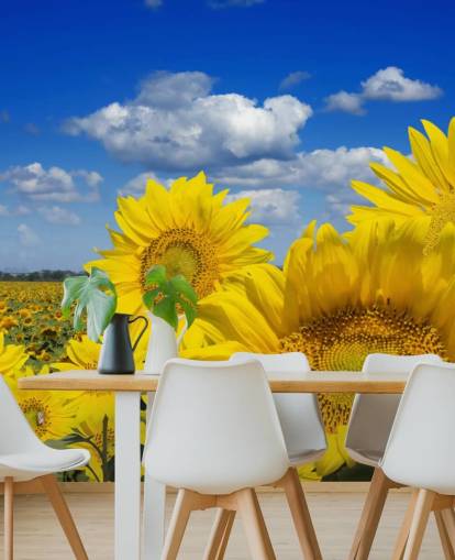 Yellow Sunfowers Wallpaper