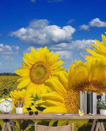 Yellow Sunfowers Wallpaper Yellow Sunfowers Wallpaper