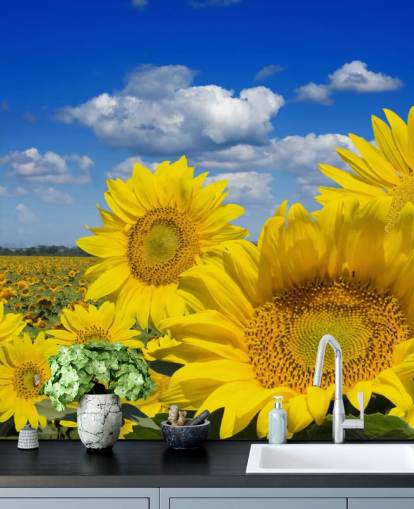 Gelbe Sonnenblumen-Tapete Gelbe Sonnenblumen-Tapete