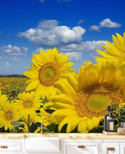 Yellow Sunfowers Bakgrund