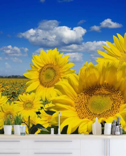 Fondo de pantalla de girasoles amarillos