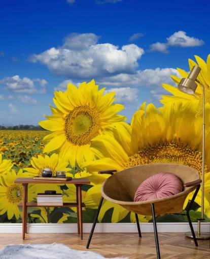 Gelbe Sonnenblumen-Tapete Gelbe Sonnenblumen-Tapete