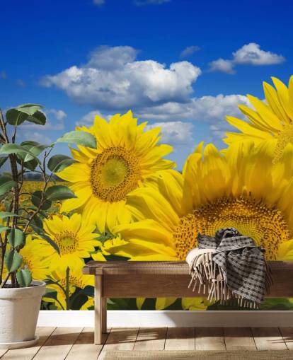 Yellow Sunfowers Wallpaper