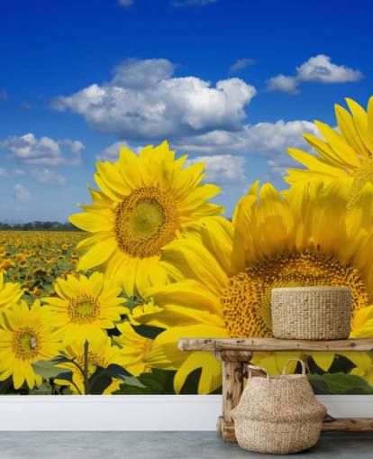 Papier peint Yellow Sunfowers