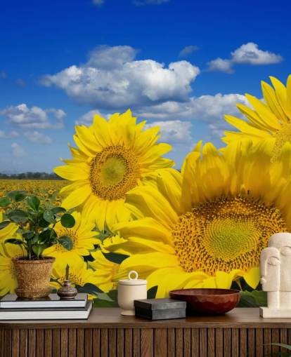 Gelbe Sonnenblumen-Tapete