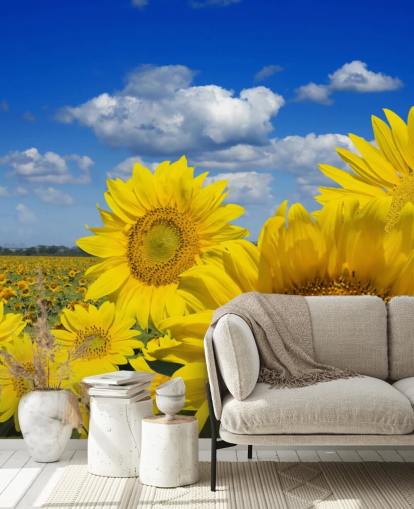 Yellow Sunfowers Baggrund