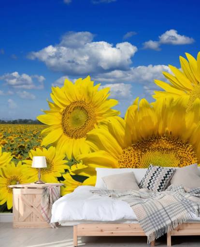 Papier peint Yellow Sunfowers Papier peint Yellow Sunfowers
