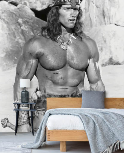 papier peint mural noir et blanc de Conan le Destructeur intitulé Arnold Schwarzenegger (Conan le Destructeur)