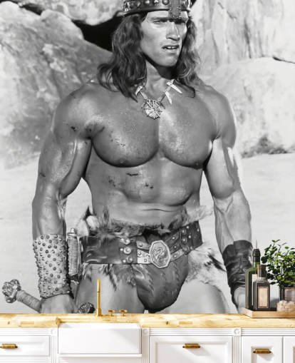 mural de papel pintado de Conan el Destructor en blanco y negro llamado Arnold Schwarzenegger (Conan el Destructor) mural de papel pintado de Conan el Destructor en blanco y negro llamado Arnold Schwarzenegger (Conan el Destructor)