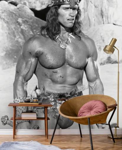 black and white conan the destroyer wallpaper mural called Arnold Schwarzenegger (Conan the Destroyer)