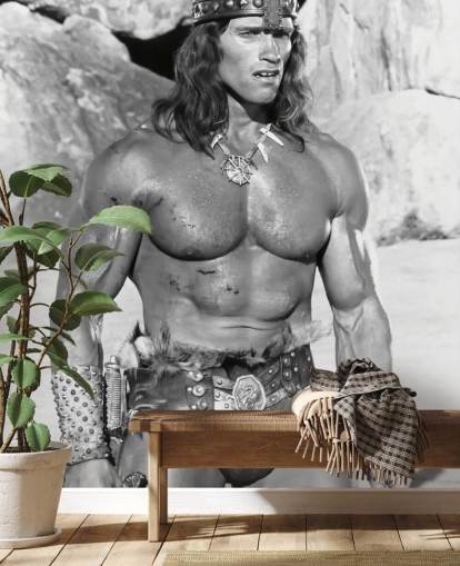 mural de papel de parede de conan the destroyer em preto e branco chamado Arnold Schwarzenegger (Conan the Destroyer)