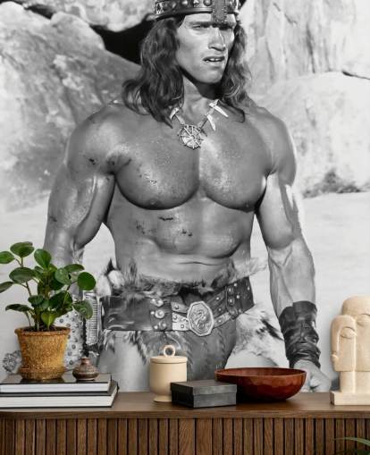 black and white conan the destroyer wallpaper mural called Arnold Schwarzenegger (Conan the Destroyer)