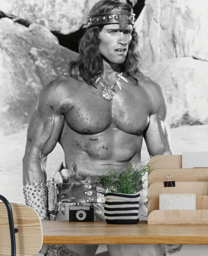 mural de papel pintado de Conan el Destructor en blanco y negro llamado Arnold Schwarzenegger (Conan el Destructor) mural de papel pintado de Conan el Destructor en blanco y negro llamado Arnold Schwarzenegger (Conan el Destructor)