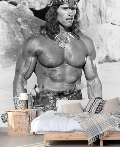 mural de papel de parede de conan the destroyer em preto e branco chamado Arnold Schwarzenegger (Conan the Destroyer)