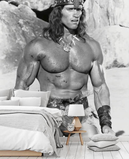 mural de papel pintado de Conan el Destructor en blanco y negro llamado Arnold Schwarzenegger (Conan el Destructor) mural de papel pintado de Conan el Destructor en blanco y negro llamado Arnold Schwarzenegger (Conan el Destructor)