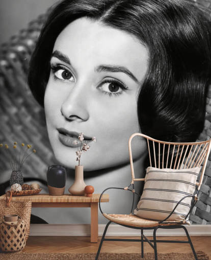 mural de papel de parede de amor à tarde em preto e branco chamado Audrey Hepburn (Amor à tarde)
