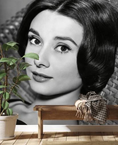 black and white love in the afternoon wallpaper mural called Audrey Hepburn (Love in the Afternoon) black and white love in the afternoon wallpaper mural called Audrey Hepburn (Love in the Afternoon)