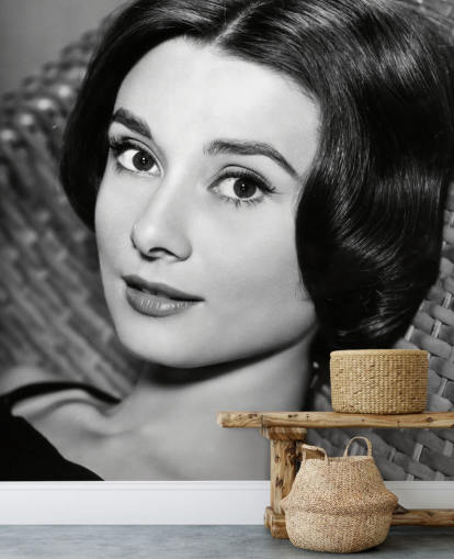 black and white love in the afternoon wallpaper mural called Audrey Hepburn (Love in the Afternoon)