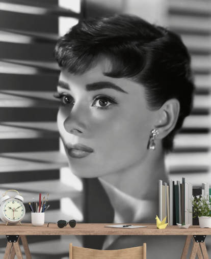 black and white audrey hepburn wall mural called Audrey Hepburn (Sabrina) II