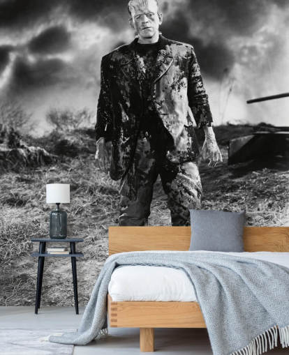 zwart-wit frankenstein muurschildering genaamd Boris Karloff (Bride of Frankenstein) voor slaapkamers en kantoren aan huis