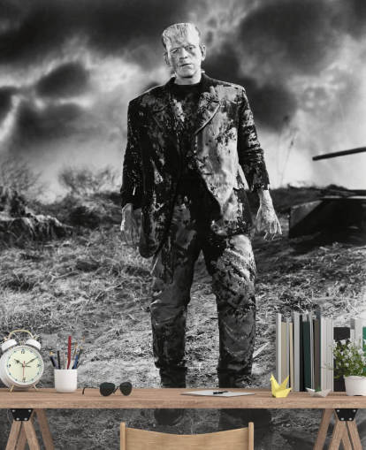 mural de papel pintado de Frankenstein en blanco y negro llamado Boris Karloff (La novia de Frankenstein) para dormitorios y oficinas en casa mural de papel pintado de Frankenstein en blanco y negro llamado Boris Karloff (La novia de Frankenstein) para dormitorios y oficinas en casa