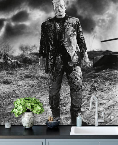 zwart-wit frankenstein muurschildering genaamd Boris Karloff (Bride of Frankenstein) voor slaapkamers en kantoren aan huis zwart-wit frankenstein muurschildering genaamd Boris Karloff (Bride of Frankenstein) voor slaapkamers en kantoren aan huis