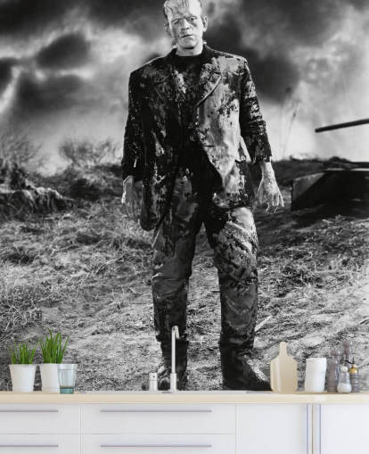 mustavalkoinen frankenstein-taustakuvamaalaus nimeltä Boris Karloff (Frankensteinin morsian) makuuhuoneisiin ja kotitoimistoihin mustavalkoinen frankenstein-taustakuvamaalaus nimeltä Boris Karloff (Frankensteinin morsian) makuuhuoneisiin ja kotitoimistoihin