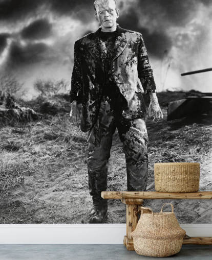 black and white frankenstein wallpaper mural called Boris Karloff (Bride of Frankenstein) for bedrooms and home offices black and white frankenstein wallpaper mural called Boris Karloff (Bride of Frankenstein) for bedrooms and home offices