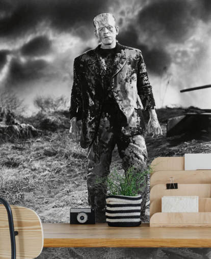 carta da parati murale in bianco e nero con frankenstein chiamata Boris Karloff (La sposa di Frankenstein) per camere da letto e uffici domestici