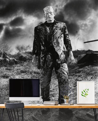 svartvit frankenstein tapetväggmålning som heter Boris Karloff (Bruden av Frankenstein) för sovrum och hemmakontor svartvit frankenstein tapetväggmålning som heter Boris Karloff (Bruden av Frankenstein) för sovrum och hemmakontor