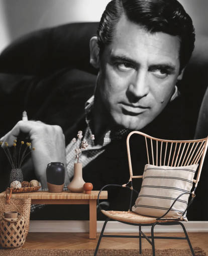 black and white cary grant wallpaper mural called Cary Grant (Notorious)