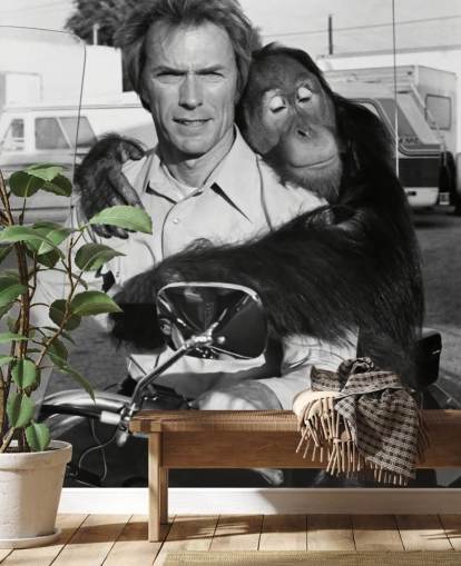 black and white clint eastwood and orangutan wall mural called Clint Eastwood (Every Which Way but Loose) black and white clint eastwood and orangutan wall mural called Clint Eastwood (Every Which Way but Loose)