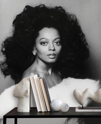 zwart-wit diana ross behangmuurschildering voor huizen en bedrijven