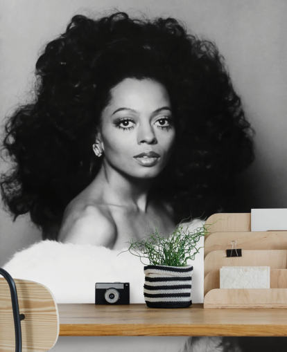black and white diana ross wallpaper mural for homes and businesses