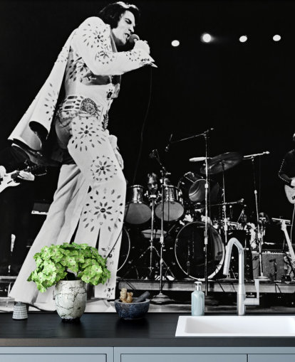 black and white movie wallpaper mural Elvis Presley (Elvis on Tour)