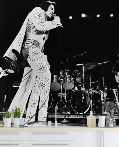 black and white movie wallpaper mural called Elvis Presley (Elvis on Tour) for bedrooms, living rooms and more