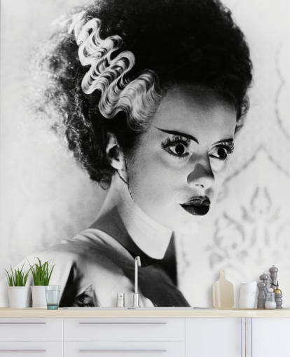 papel de parede preto e branco da noiva de frankenstein chamado Elsa Lanchester (Noiva de Frankenstein) para quartos e escritórios papel de parede preto e branco da noiva de frankenstein chamado Elsa Lanchester (Noiva de Frankenstein) para quartos e escritórios