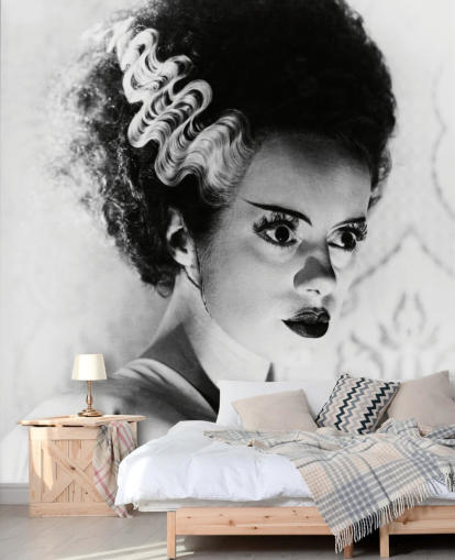 black and white bride of frankenstein wallpaper called Elsa Lanchester (Bride of Frankenstein) for bedrooms and offices