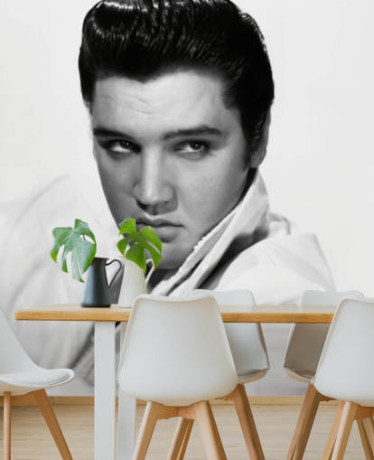 sort og hvid rock and roll tapet vægmaleri kaldet Elvis Presley II til soveværelser og stuer sort og hvid rock and roll tapet vægmaleri kaldet Elvis Presley II til soveværelser og stuer