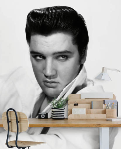 black and white rock and roll wallpaper mural called Elvis Presley II for bedrooms and living rooms