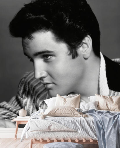 black and white elvis wall mural called Elvis Presley (Jailhouse Rock)