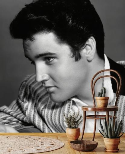 svart og hvitt elvis veggmaleri kalt Elvis Presley (Jailhouse Rock)