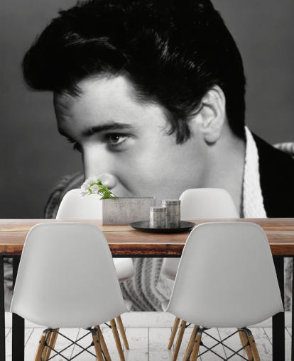 mustavalkoinen Elvis seinämaalaus nimeltä Elvis Presley (Jailhouse Rock)