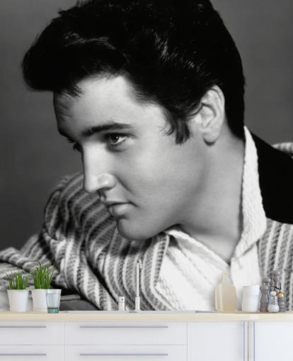 black and white elvis wall mural called Elvis Presley (Jailhouse Rock)