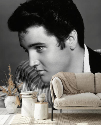 black and white elvis wall mural called Elvis Presley (Jailhouse Rock)
