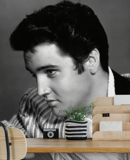 mural de parede de elvis em preto e branco chamado Elvis Presley (Jailhouse Rock)